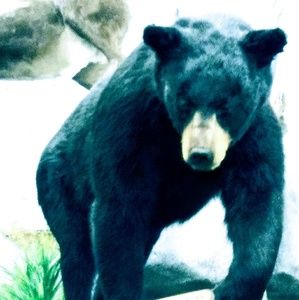 Meet your Posher, Deborah